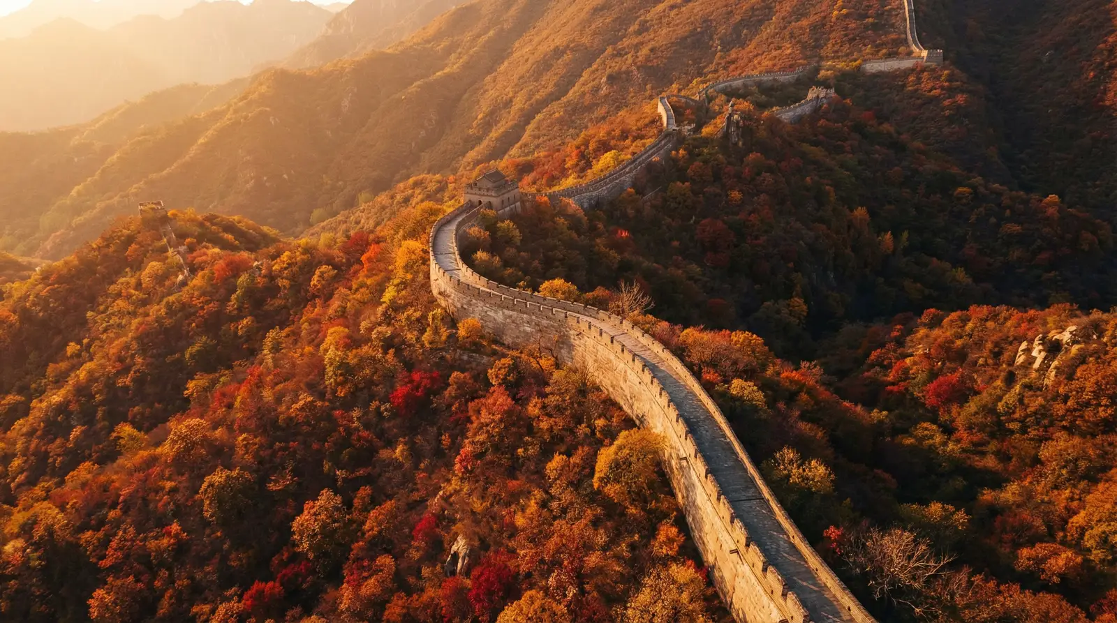 野花视频高清在线观看下载 秋日长城航拍全景